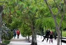 سقوط یک هواپیما با 110 سرنشین در کلمبیا