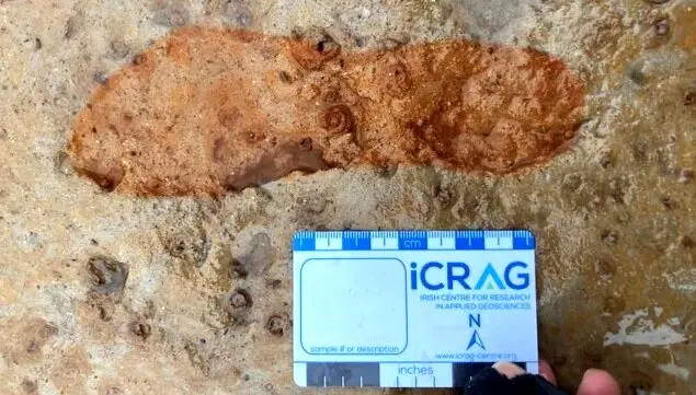 ردِ پای ۲۰۰۰ساله چگونه نجات پیدا کرد؟

