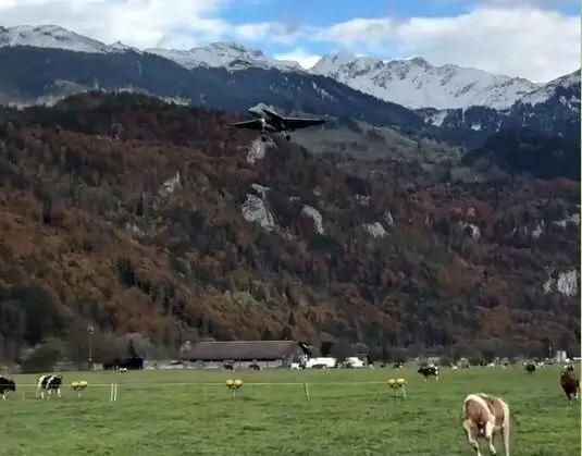 ببینید؛ فرود جنجالی جنگنده اف-۱۸ در گاوداری