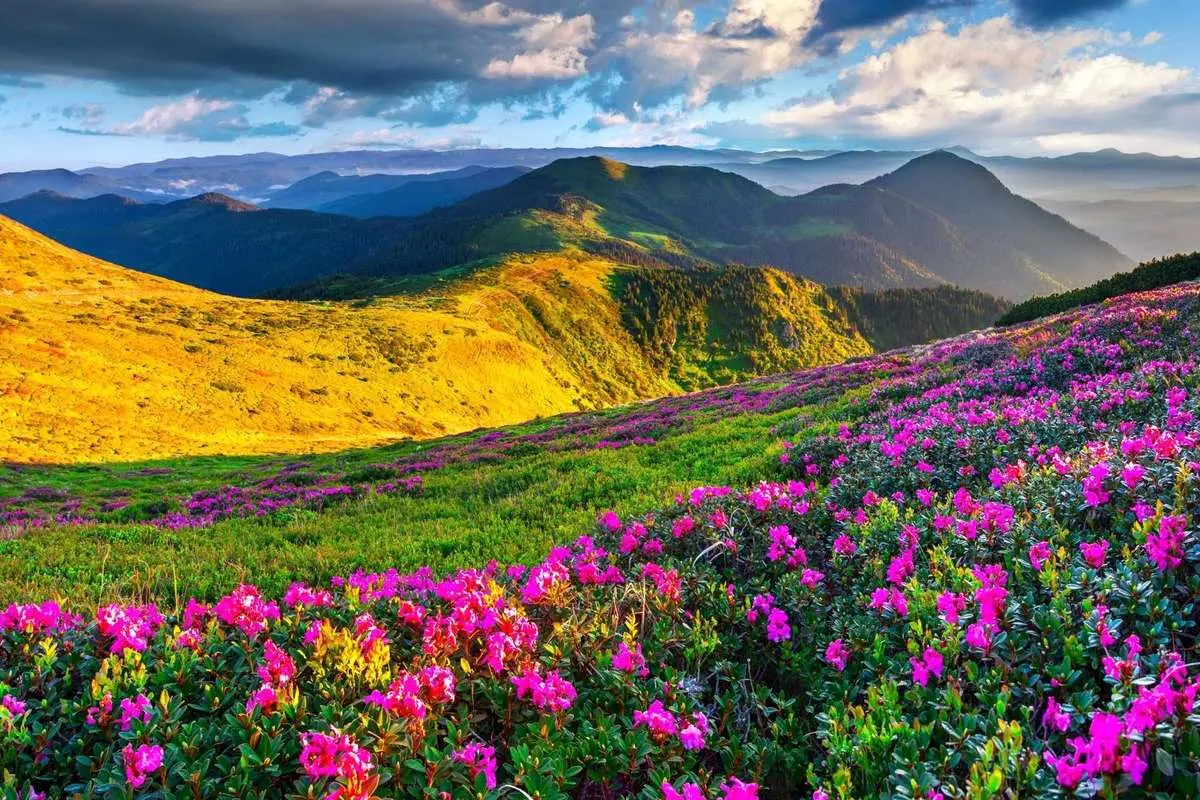 تفال به حافظ دوشنبه 30 تیر ۱۴۰۴؛ برو به کار خود ای واعظ این چه فریادست....