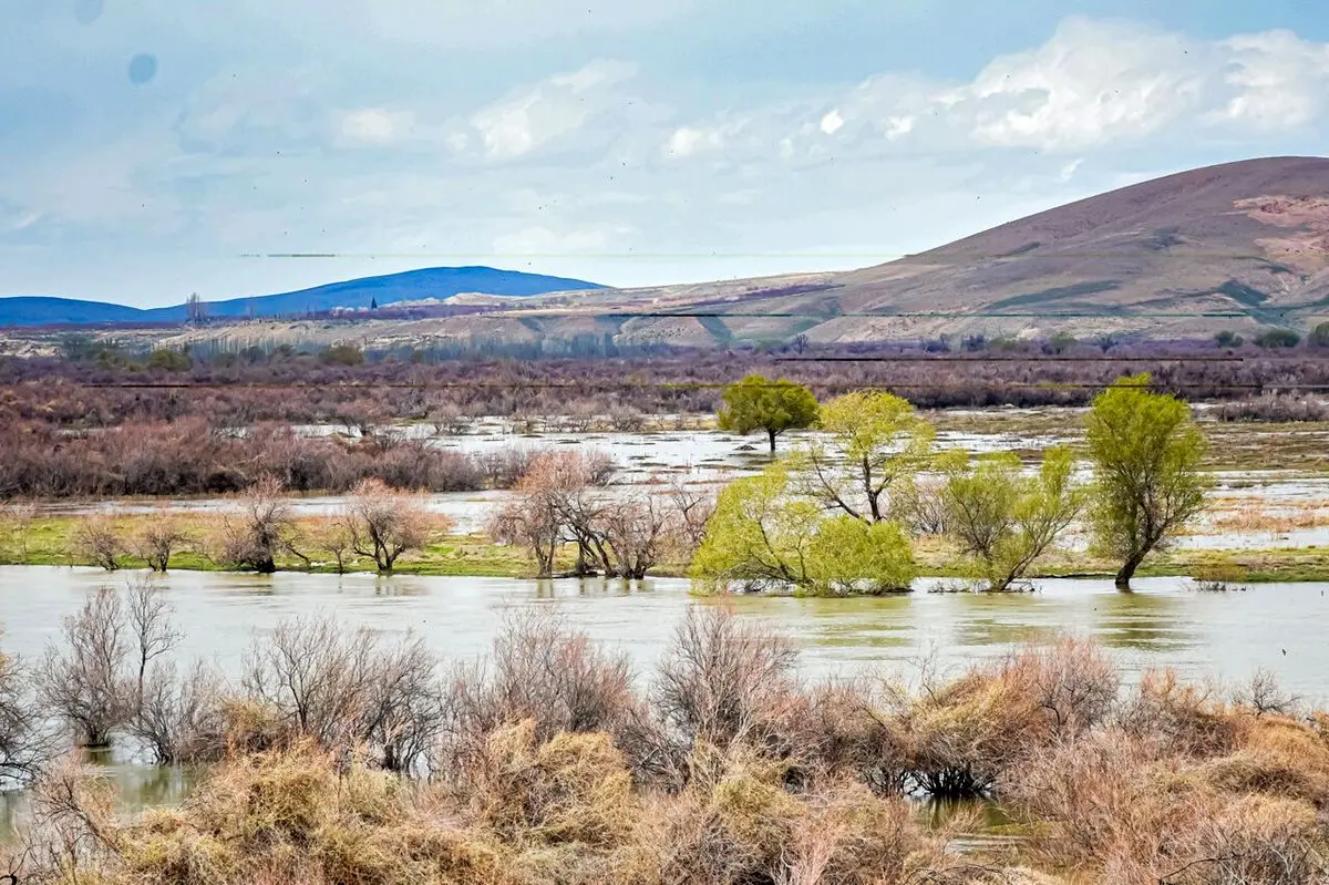 پس از ۲۰ سال؛ تالاب نوروزلو میاندوآب به طور کامل آبگیری شد
