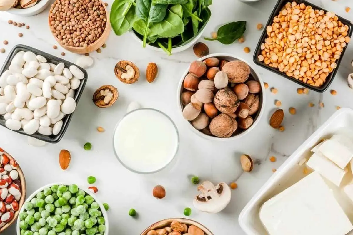 ۱۴ منبع پروتئین گیاهی عالی