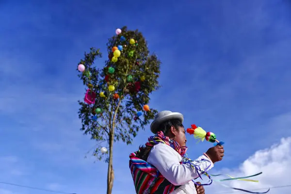 سقوط هولناک درخت آیینی روی یک زن