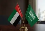 درخواست آمریکا از امارات و عربستان برای مقابله با پیشروی انصارالله