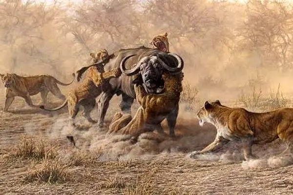 تئاتر واقعی حیات وحش در آفریقا