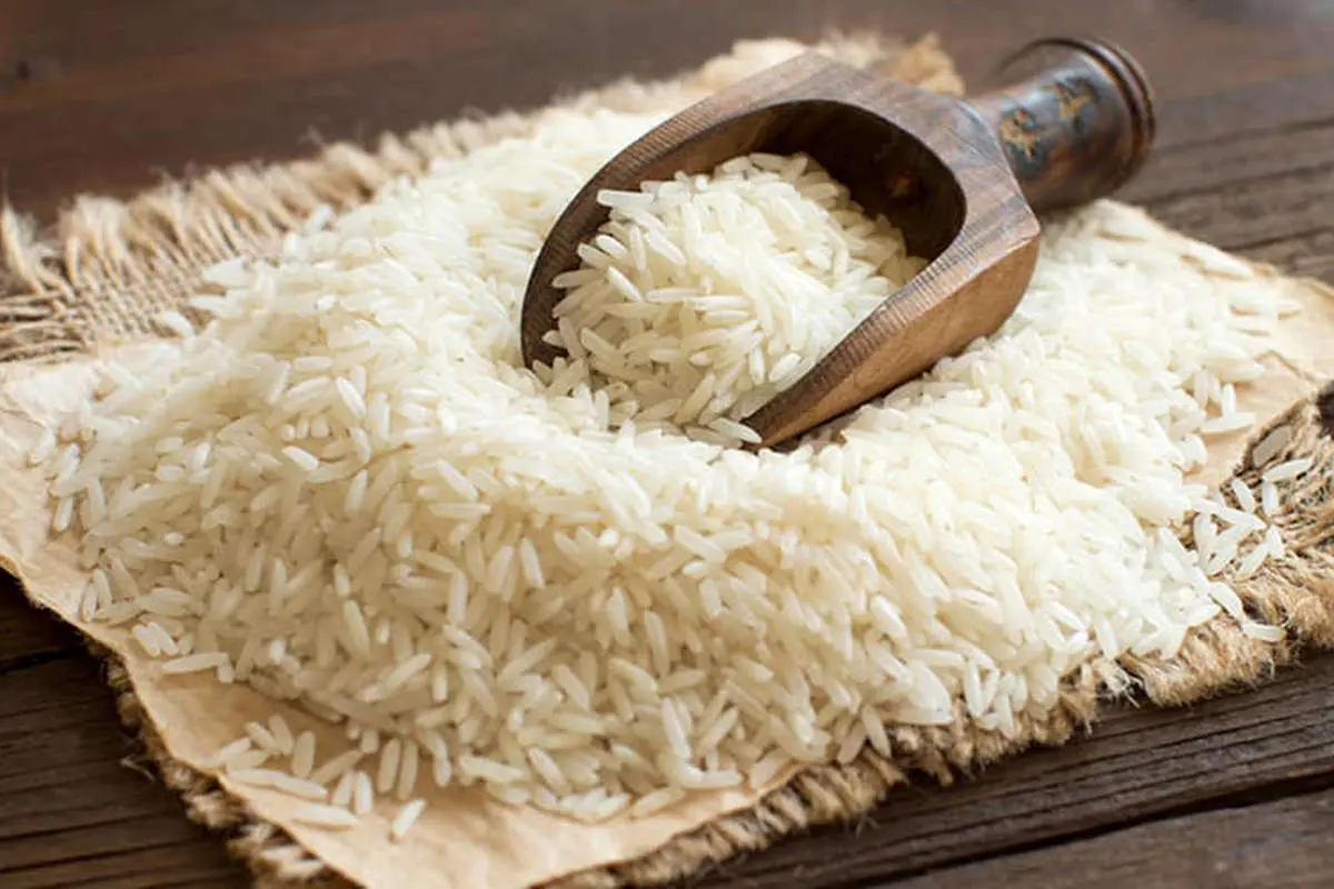 تغییر قیمت برنج ایرانی محسوس شد؛ هر کیلو برنج ایرانی چند؟
