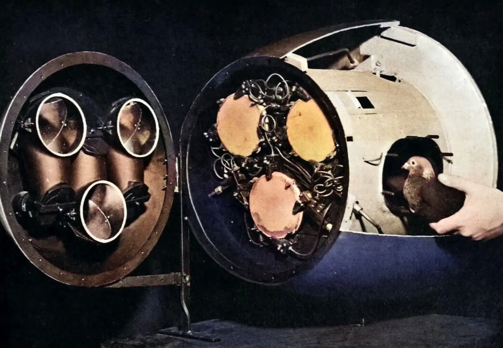 عجیب‌ترین موشک جهان که یک روانشناس ساخت