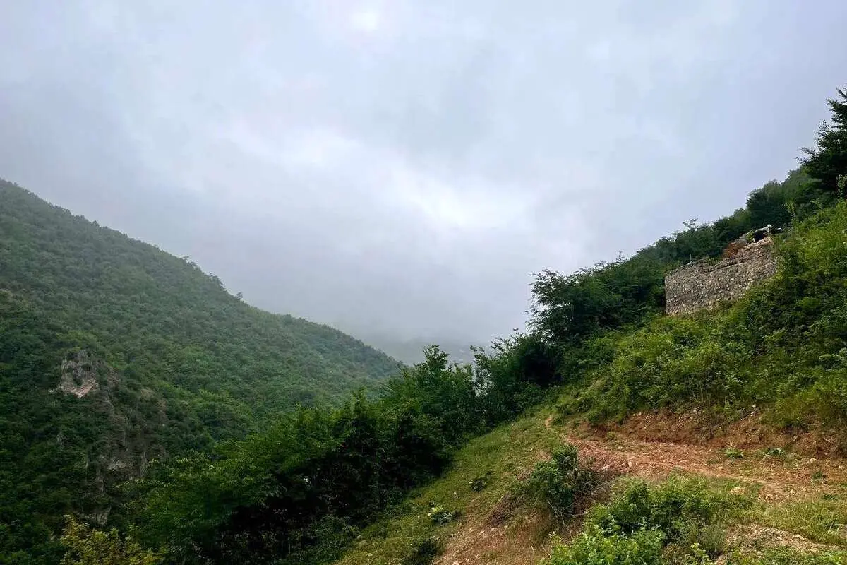 تصاویر؛ ارتفاعات روستای زیارت گرگان؛ روزنه‌ای به دنیایی آرام، سرسبز و ناب