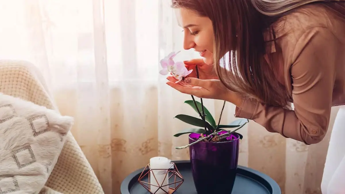 چگونه به روش طبیعی خوش‌بو بمانیم؟ / 11 توصیه کلیدی