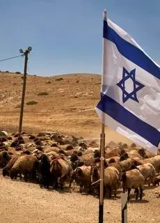 تصاویر؛ زندگی دشوار چوپانان فلسطینی در سایه گسترش شهرک‌های اسرائیلی