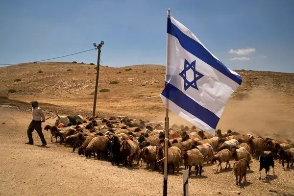 تصاویر؛ زندگی دشوار چوپانان فلسطینی در سایه گسترش شهرک‌های اسرائیلی