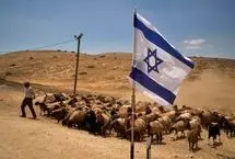 تصاویر؛ زندگی دشوار چوپانان فلسطینی در سایه گسترش شهرک‌های اسرائیلی