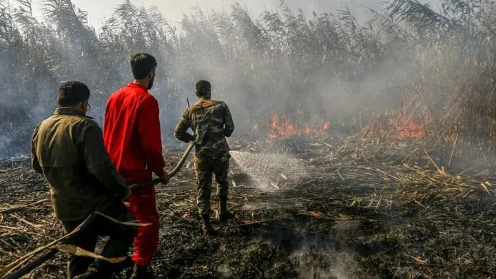 آتش‌سوزی در تالاب انزلی