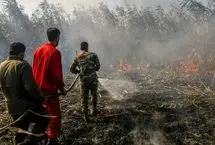 آتش‌سوزی در تالاب انزلی