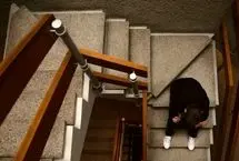 نسل سردرگم: دلایلی که برخی جوانان نمی‌توانند مستقل شوند