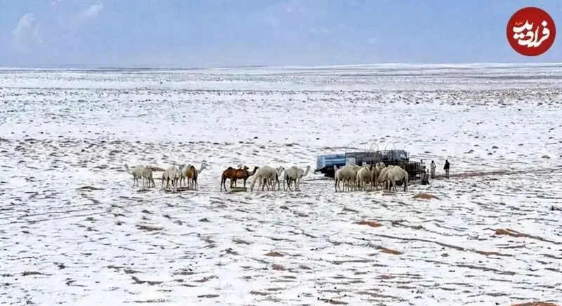 عربستان