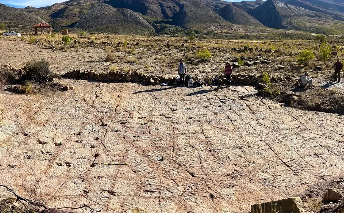 کشف ۱۶ هزار ردپای دایناسور؛ بزرگ‌ترین مجموعه ثبت‌شده در جهان