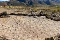 کشف ۱۶ هزار ردپای دایناسور؛ بزرگ‌ترین مجموعه ثبت‌شده در جهان