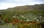 سفری خانوادگی به روستای چنارهای هزارساله