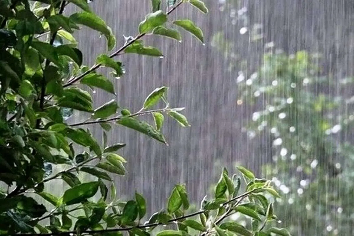 هشدار زرد هواشناسی برای ۴ استان