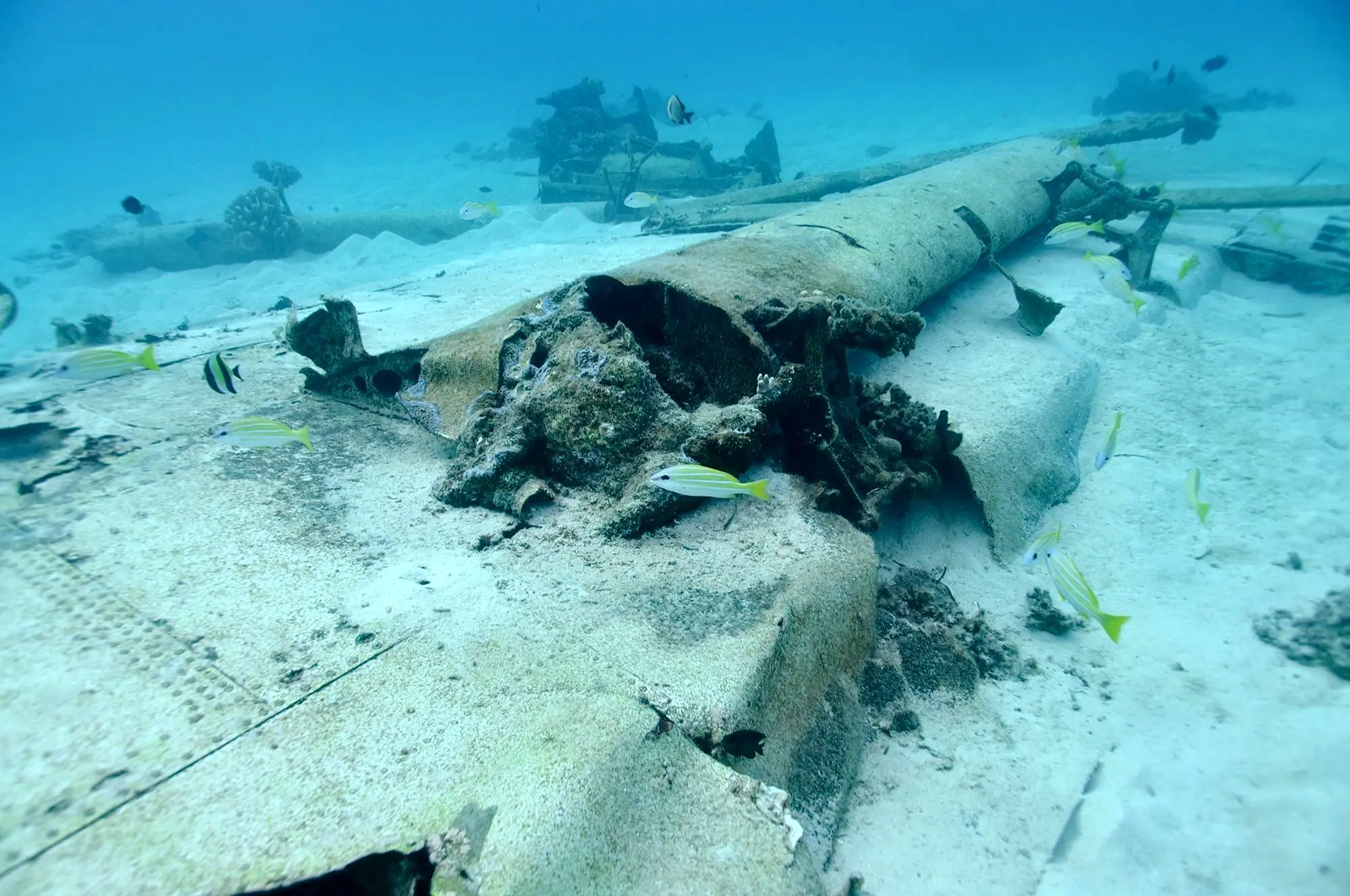 تلاش آمریکا برای یافتن ۴۰ هزار سرباز گمشده خود در کف دریاها!