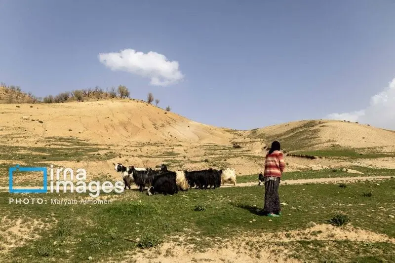 خلبان (2)