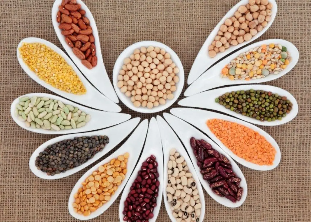 تغییر عجیب قیمت حبوبات در دی ۱۴۰۴/ قیمت لوبیاچیتی به مرز ۶۰۰ هزار تومان رسید