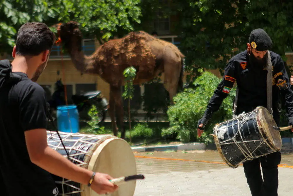 گالری