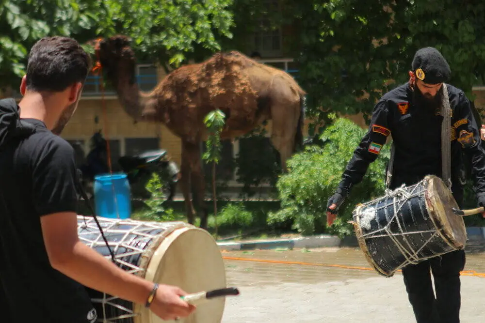 گالری
