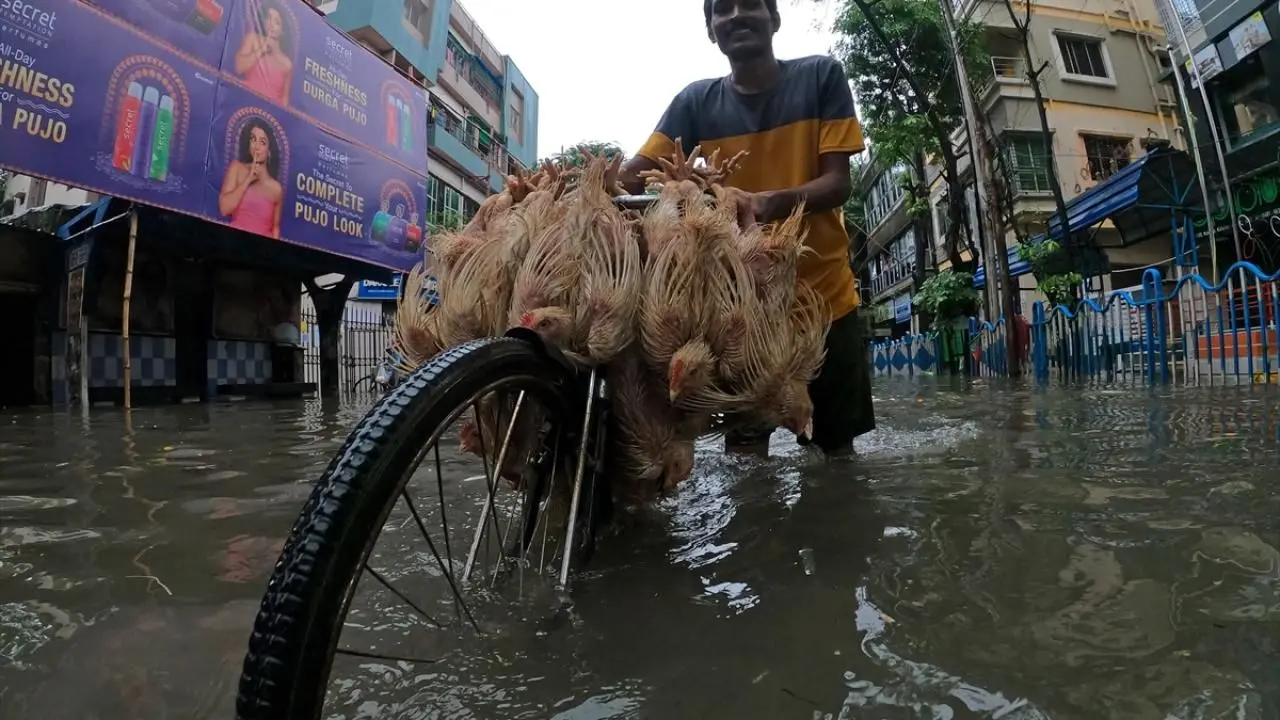تصاویر؛ بارش‌های شدید موسمی در شرق هند جان ۹ نفر را گرفت