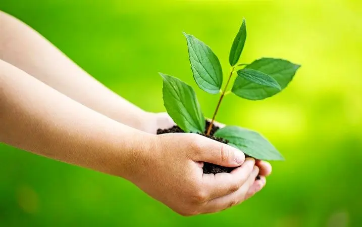 جایگاه تو در جهان کجاست؟ ۷ راه طلایی برای یافتن معنای زندگی