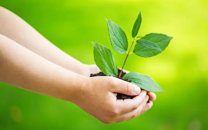 جایگاه تو در جهان کجاست؟ ۷ راه طلایی برای یافتن معنای زندگی