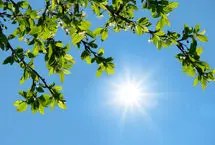 گرمای هوا تا اواخر هفته تداوم دارد/ نفوذ سامانه جدید بارشی از دوشنبه