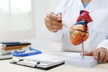 نه دوچرخه ثابت، نه باشگاه، نه پیاده‌روی؛ بهترین ورزش برای سلامت قلب و بهبود گردش خون