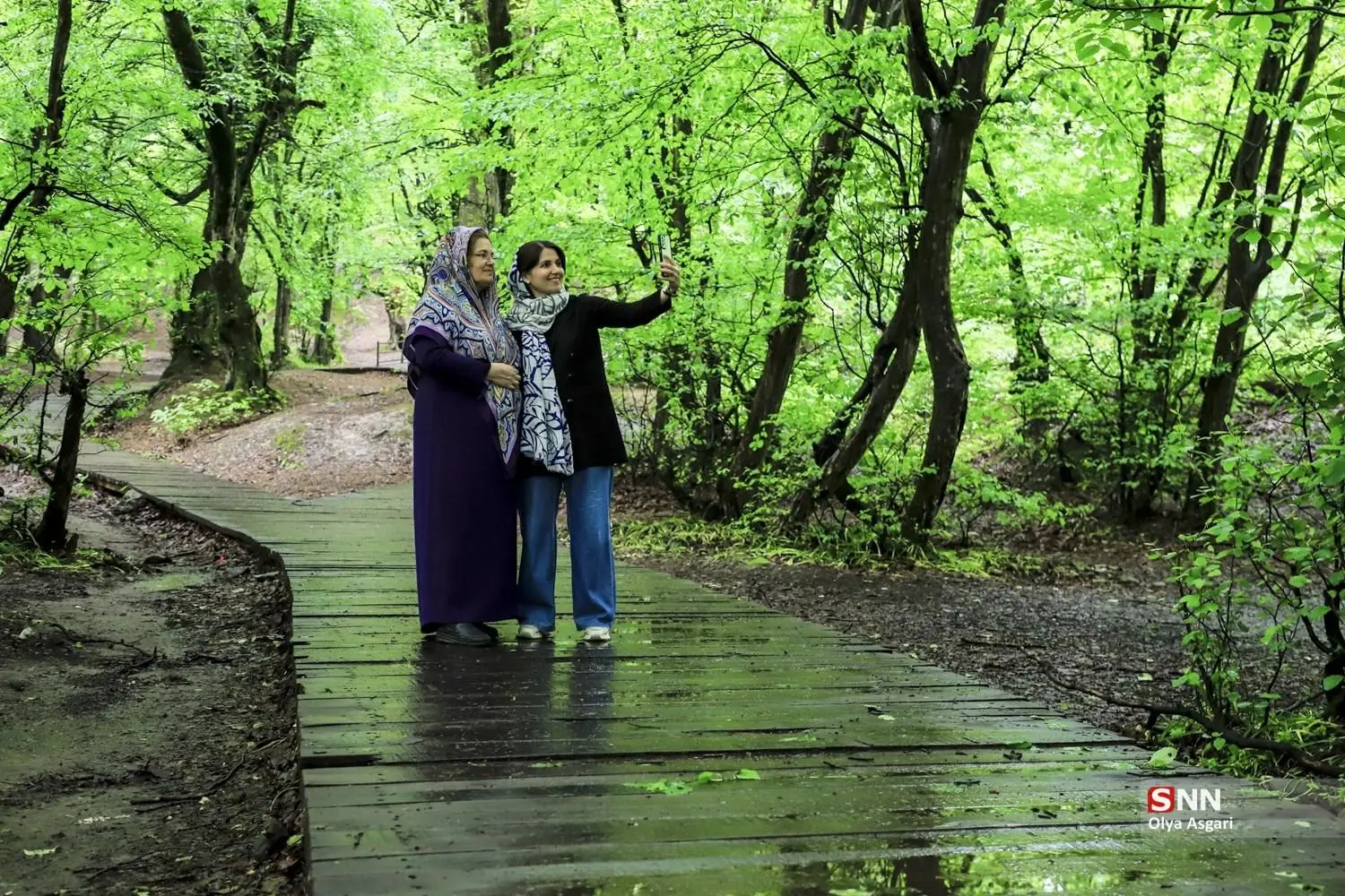 تصاویر؛ تنها پارک جنگلی بدون خودرو و آتش در ایران