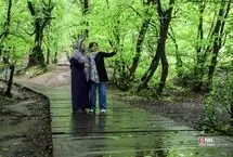 تصاویر؛ تنها پارک جنگلی بدون خودرو و آتش در ایران