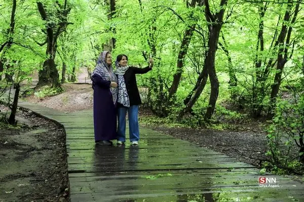 تصاویر؛ تنها پارک جنگلی بدون خودرو و آتش در ایران