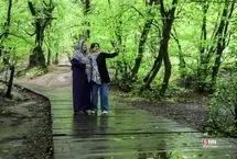 تصاویر؛ تنها پارک جنگلی بدون خودرو و آتش در ایران