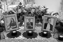 ما را ببخشید که نیلوفر قلعه‌وند هم شهید شد