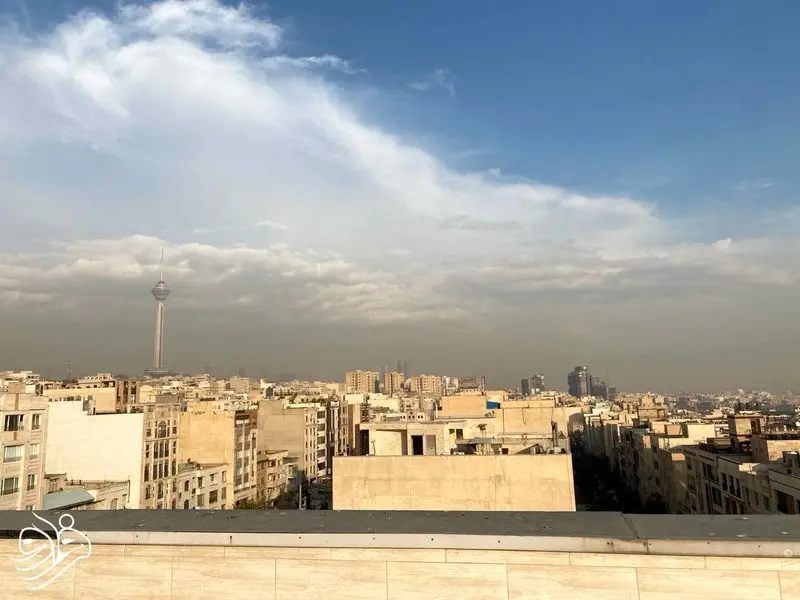 photo_5866219113913453744_y