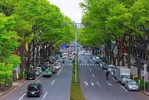 چرا در ژاپن لندکروز سوار نمی‌شوند؟