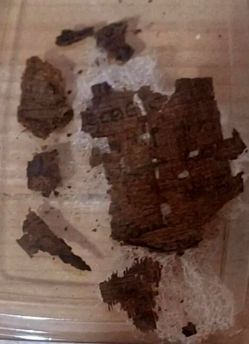 مومیایی 2