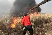 آتش‌سوزی در خاییز بهبهان؛ استاندار خوزستان خواستار اعزام بالگرد آب‌پاش شد 