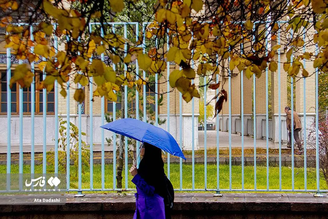 گالری