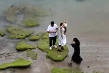 از بوشهر چه خبر؟