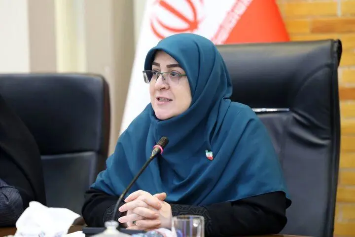 واکنش مهاجرانی به اتصال اینترنت بین‌الملل