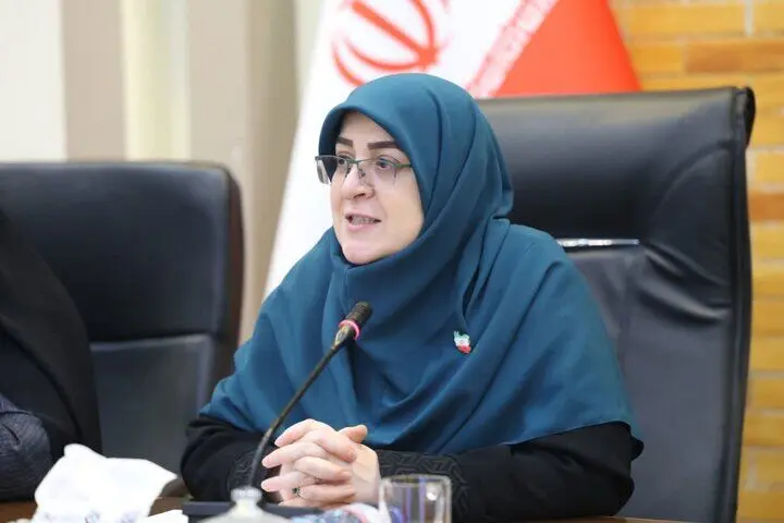 مهاجرانی: دولت با تمام ظرفیت در کنار نیروهای مسلح قرار دارد