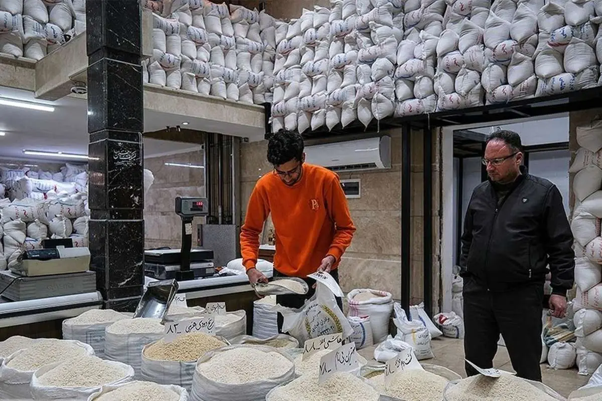 نمودار قیمت برنج؛ قیمت برنج ایرانی اینطوری دو برابر شد!