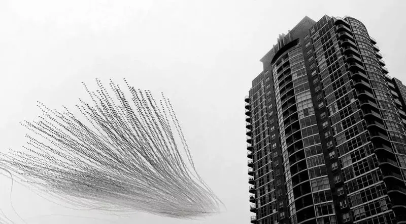 تصاویر حیات وحش ۲۰۲۵