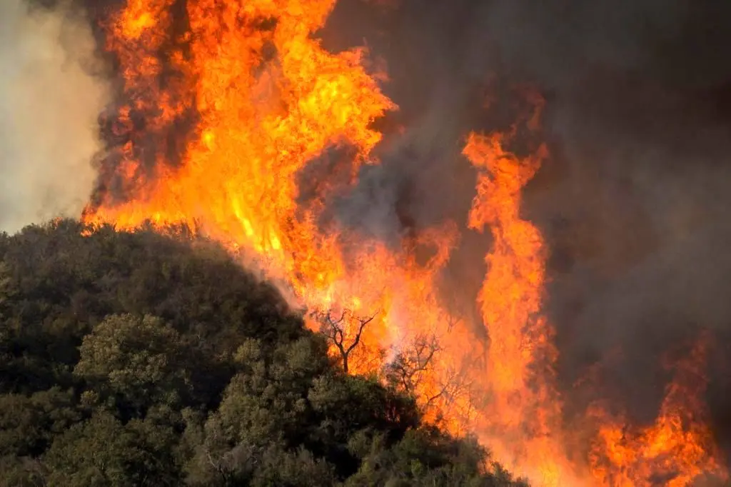  آتش‌سوزی جنگل‌های الیت تقریبا به‌طور کامل مهار شد